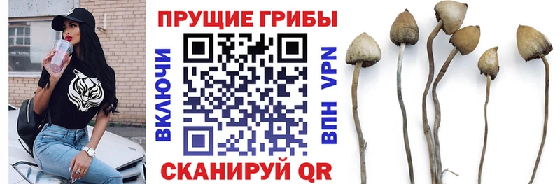 Галлюциногенные грибы прущие грибы где купить наркоту Астрахань